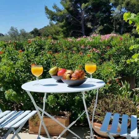 Incredible Apartment Near The Sea And Calanque La Ciotat Dış mekan fotoğraf