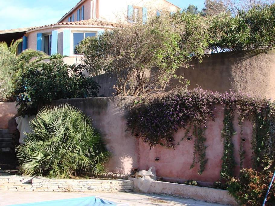 Incredible Apartment Near The Sea And Calanque La Ciotat Dış mekan fotoğraf